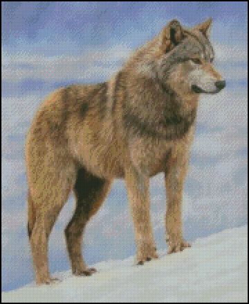 Timber Wolf Stance